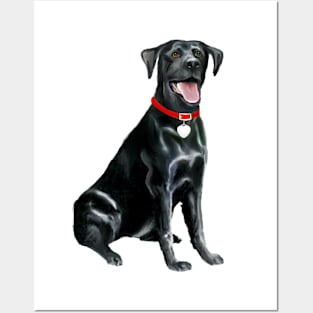 A Happy Black Labrador Retriever - just the dog Posters and Art